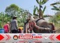 Jembatan Merah Putih Wujudkan Impian Warga Gumukrejo, Sasak Bambu Berganti Jembatan Beton Kokoh