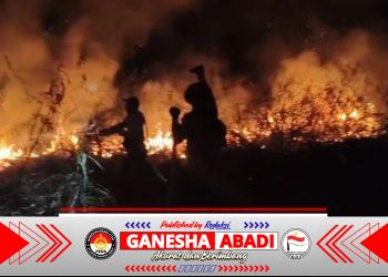 5 Poin Maklumat Kapolda Kalteng Larangan, Sanksi Pidana Terhadap Pembakaran Hutan dan Lahan