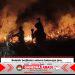 5 Poin Maklumat Kapolda Kalteng Larangan, Sanksi Pidana Terhadap Pembakaran Hutan dan Lahan