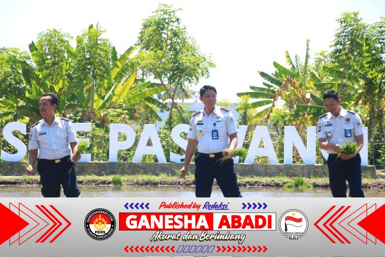 Konsisten Sukses 2 Kali Panen, Lapas Banyuwangi Garap Lagi Padi di Lahan SAE Paswangi