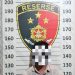 Polsek Cerme Ungkap Pencurian Burung Murai Batu, Pelaku Diduga Beraksi di 4 TKP