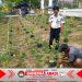 Rutan Kelas IIB Buntok Tetap Konsisten Rawat Tanaman Tomat Musim Kemarau Tak Surutkan Semangat.