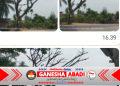 Pohon Lapuk Lintas Medan–Banda Aceh Ancam Keselamatan Warga, Aktivis BAI Soroti Respons BPBD Aceh Timur