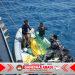 Tim Penyelam TNI AL Temukan 15 Jenazah Korban KM Virgo Transport 8
